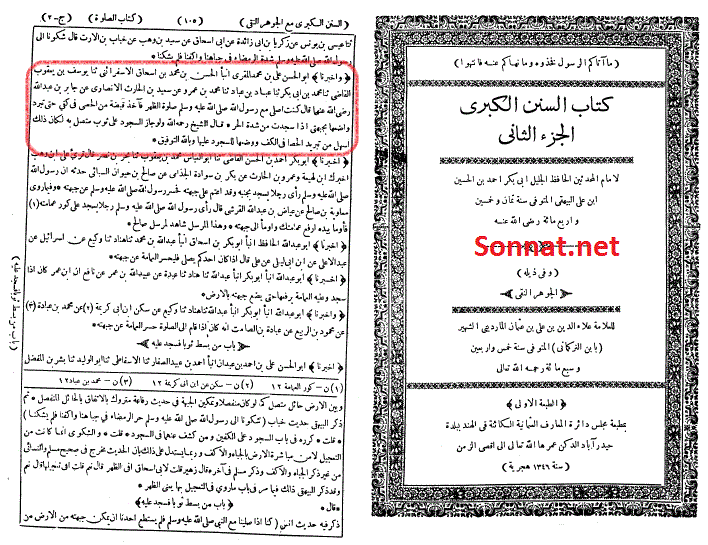 http://www.sonnat.net/upload/article/AE1707A0.B9C8.4DD5/PYH3HBF8_pic.gif?rnd=